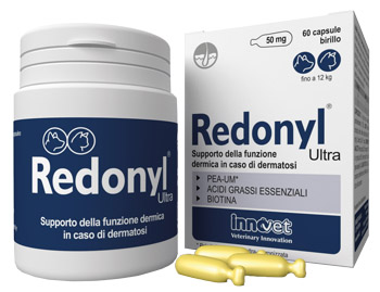 GetDoc